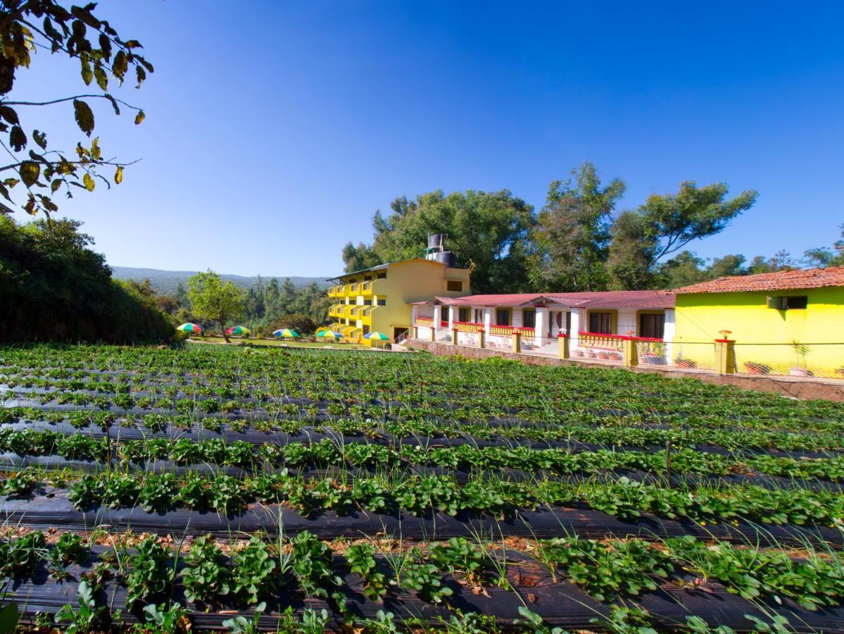 Hirkani Garden Hotel Mahābaleshwar Buitenkant foto